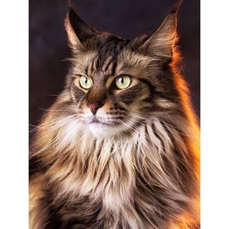 5D DIY Diamond Painting Tabby Cat Art Diamond Embroidery Rhinestones Decorations for Home