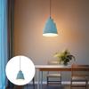 Pendant Lamp Shade Adjustable Light for Bedside Pub Decoration