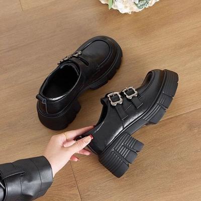 Women's Loafers Chunky Heels Shoes for Women Retro Mary Jane Shoes 2025 New Women High Heels Luxury Zapatillas De Mujer