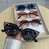 Cat Eye Shape Sunglasses Woman New Stylish UV Protection Women Sun Glasses Holiday Travelling Women Sunglasses