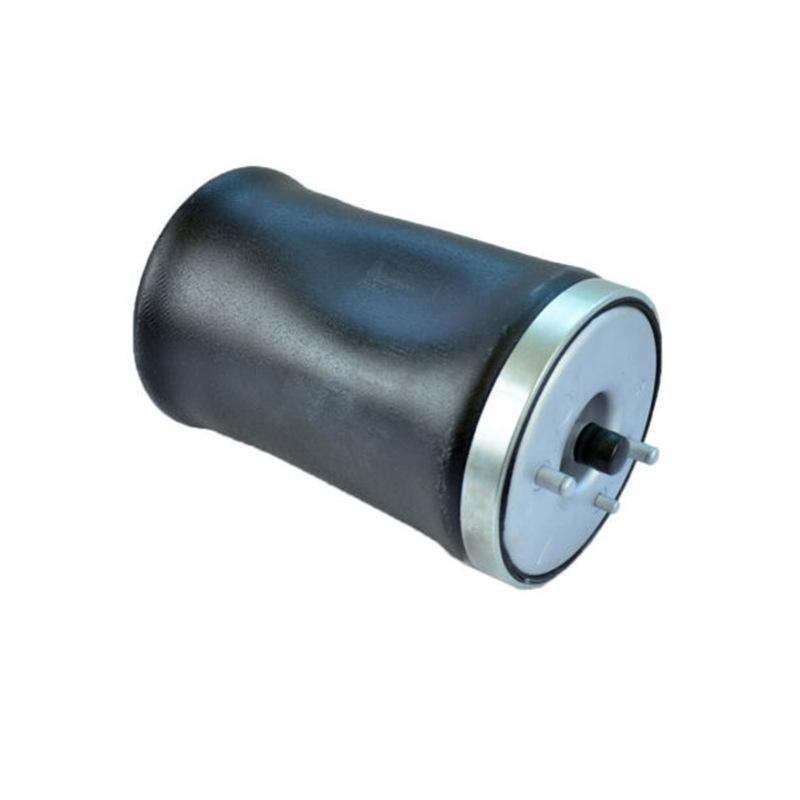 Luftfederbein hinten links für BMW X5 E53 37121095579