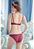 Plus Size European-American French Ultra-Thin Transparent Lingerie Set