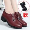 Women Spring Autumn New Fashion Lace Soft Leather Platform Pumps Korean Style Casual Waterproof Pointed Toe Single Shoes