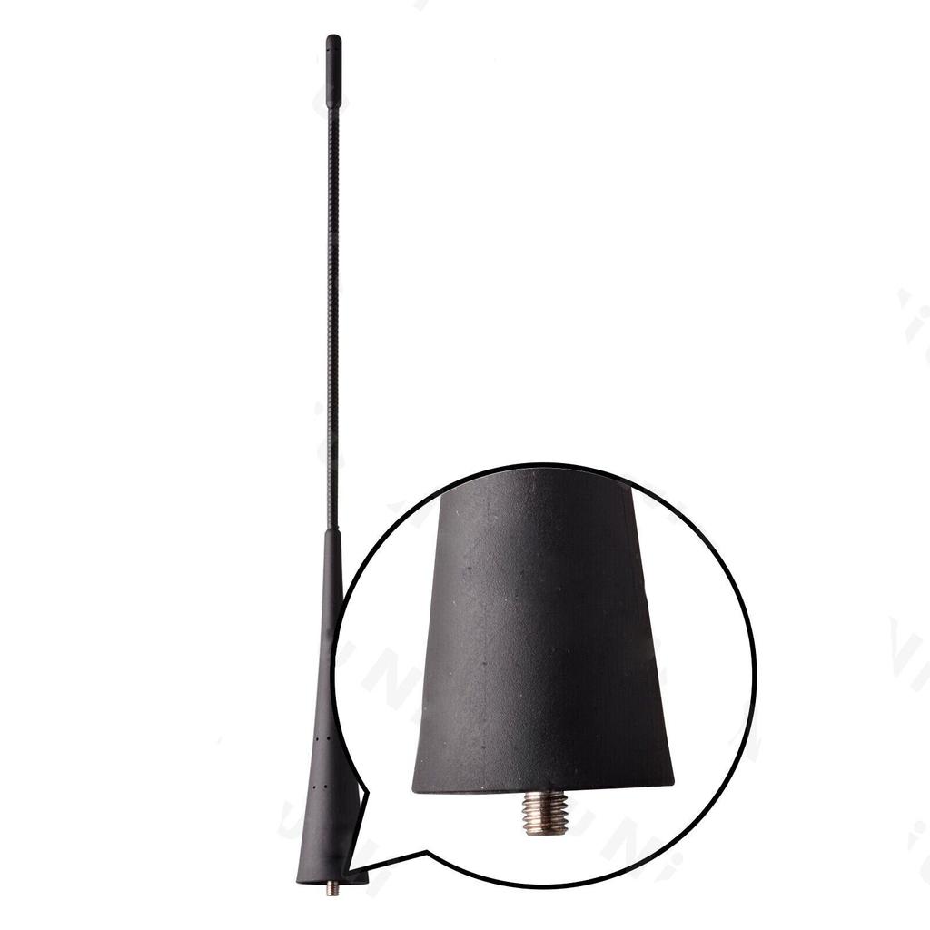 Autoradioantenne Empfang AM/FM-Signal 13 Zoll Für Ford Mustang 2010-2014 Radioantennenmast