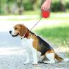 Laisse pour chien - Extensible - 3m - Enrouleur - Utilisation extérieure - Chien