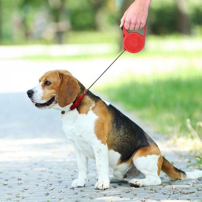 Laisse pour chien - Extensible - 3m - Enrouleur - Utilisation extérieure - Chien