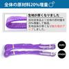 JiiinMiiin Sling Belt, Working Load 1000kg, Length 3M, Width 30mm, Polyester Safety Rope, Load Hanging Belt, Towing Tool, Tools, Gardening, Shipping,