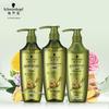 Ginger Essence Shampoo & Conditioner Set