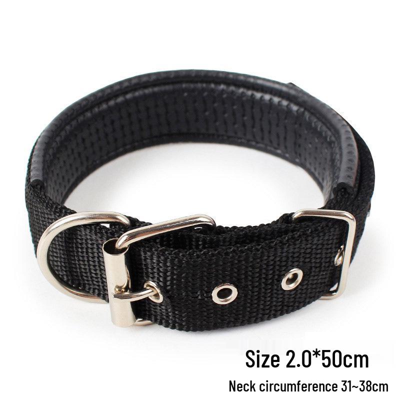 Compact 2m Leash for Small Pets: Rabbit, Squirrel, Guinea Pig, Kitten