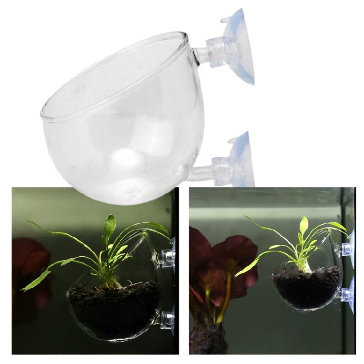Clear Glass Plant Cups with Suction Cups Aquariums Landscaping