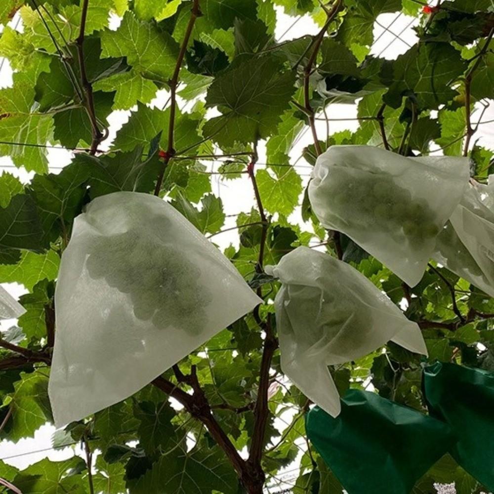 100Pcs Non-woven Fruit Protection Bags Breathable Mesh Nursery Bags Anti-sun Corrosion-resistant Insect Proof Bag