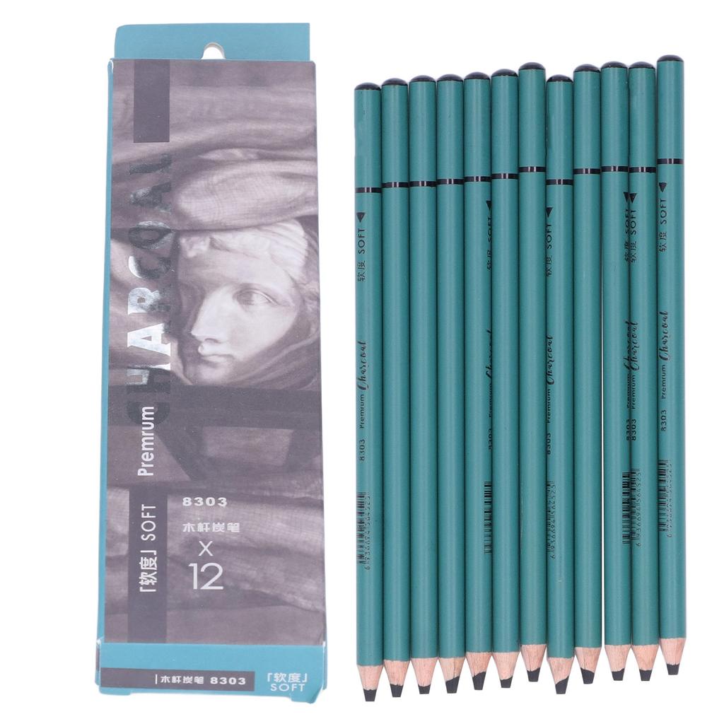 12Pcs Charcoal Pencils Flexible Write Smoothly Easy To Use Charcole Art Supply for Detailed Drawing