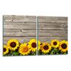 2x GLASS PROTECTIVE PLATE FOR STOVE 40x52 FLOWERS