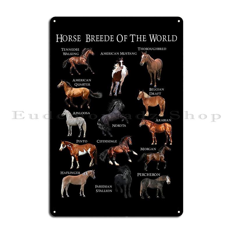 Koňská kosterní anatomie Veterinární nástěnný plakát Průvodce anatomií Kovová deska Dekorace stěny obývacího pokoje nebo hospody Železný plechový znak Plakát