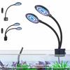 Vissen en zeedieren – Aquariumverlichting