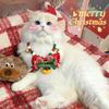 Christmas Pet Necklace - Cat Collar with Bells and A Bow - Cat Accessory - Cat Necklace