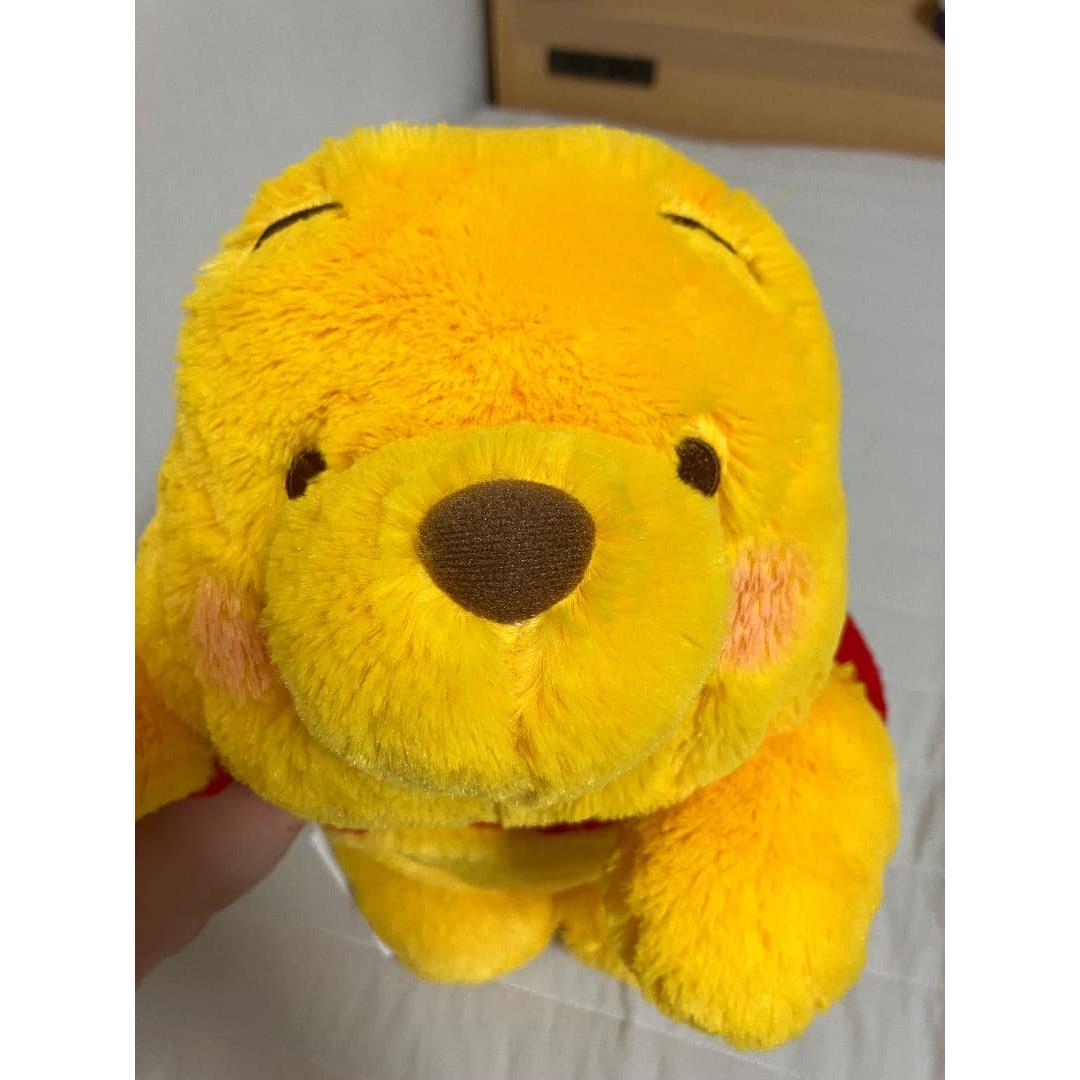 Winnie the Pooh stuffed toy lying type