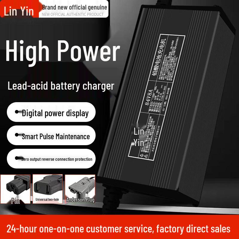 Linyin Smart Battery Charger (CN Version)