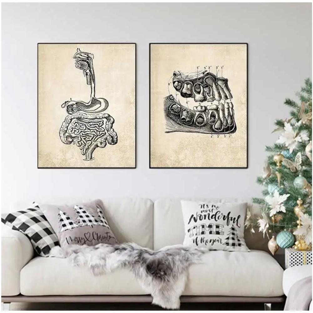 Wandbilder für Krankenhaus, Arzt, Büro, Dekor, Wandkunst, Leinwand, Malerei, Anatomie, Skelett, nordische Poster und Drucke, Vintage