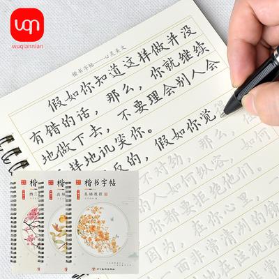 6Pcs/Sets 3D Chinese Characters Reusable Groove Calligraphy Copybook Learn Hanzi Adults Art Writing Practice Books Libros