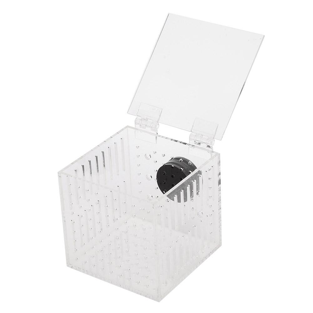 Acrylic Magnetic Aquarium Fish Breeding Isolation Box for Baby Fish Hatchery Incubator Cage