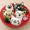 Set Stampo Onigiri Gatto Coniglio Bambini Cartone Animato Porta Pranzo Fai da Te Creativo Strumento Giapponese per Riso Sushi Stampi per Torta Stampi in Silicone