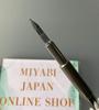 PILOT Capless Vanishing Point MATTE PURPLE Special Alloy Steel Nib CON-40