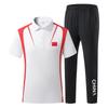 Men's Ice Silk Quick-Dry Polo Shirt & Shorts - Summer Sport Casual Set