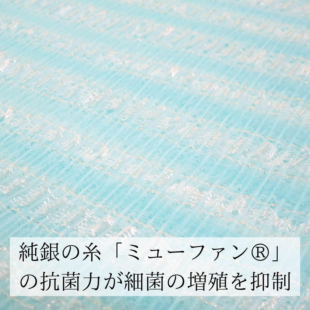 Towa Sangyo Antibacterial Silver Nylon Body Towel, Medium, Blue