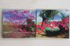 CD B'Z - DINOSAUR (shokaigenteiban)(DVD Tsuk BMCV8052 BEING Japan Japanese Pop/Rock Used