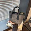 Niche High-end Small Bag Women's New Trendy and Versatile Shoulder Messenger Bag Fashionable Portable Bucket Bag