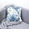 Painted Blue Print Creative Cushion Cover Premium Comfort Reversible Pillow Cove -Two in One Design for Any Room & Car Interior