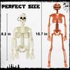 Halloween Full Body Skeleton Decoration 40cm Movable Plastic Hanging Skeleton for Graveyard Haunted Home Evil Party Decor