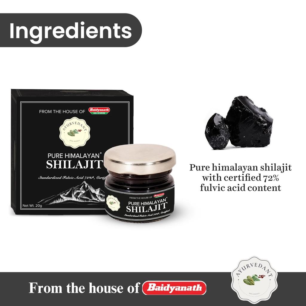 Baidyanath Ayurvedant Pure Himalayan Shilajit Resin 20g Certified for Stamina Boost and Energy Support