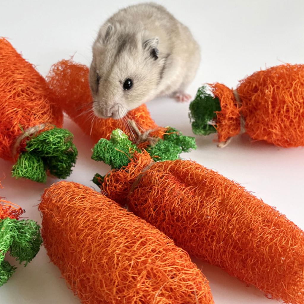 Kaninchen Kauspielzeug Kaninchen Leckerli Natürliche Luffa Karottenförmiges Spielzeug Sicher für Kaninchen Chinchilla Zähne Reinigen Mahlen