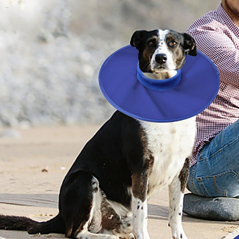 Waterproof Dog Neck Guard Multi Sizes Pet Head Guard Pet Recovery Cover Household Pet Use