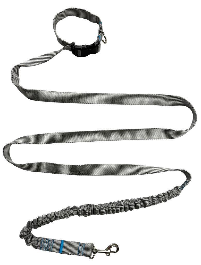Dog Leash with Shock Absorber 380cm GRAY Adjustable HandsFree Made in Poland