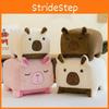 Capybara Plush Square Toy Cute Stuffed Animal Doll Cartoon Decoration Kids Gift