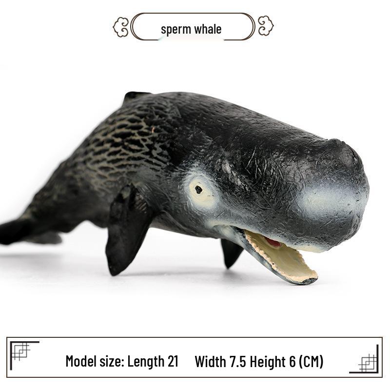 Kids Marine Life Toy: Sperm Whale Shark Model