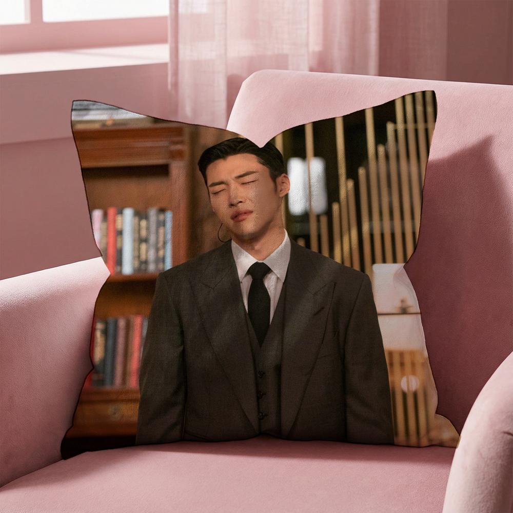 

W-Woo Do H-Hwan Наволочка-подушка для многоцелевого использования - Двусторонняя, Мягкая и Прочная для повседневного использования 30cmx30cm