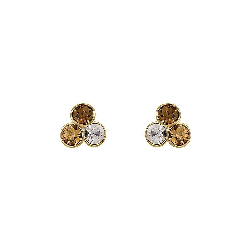 Brown crystal earrings new popular unique stud earrings niche light luxury high-end design autumn and winter earrings women