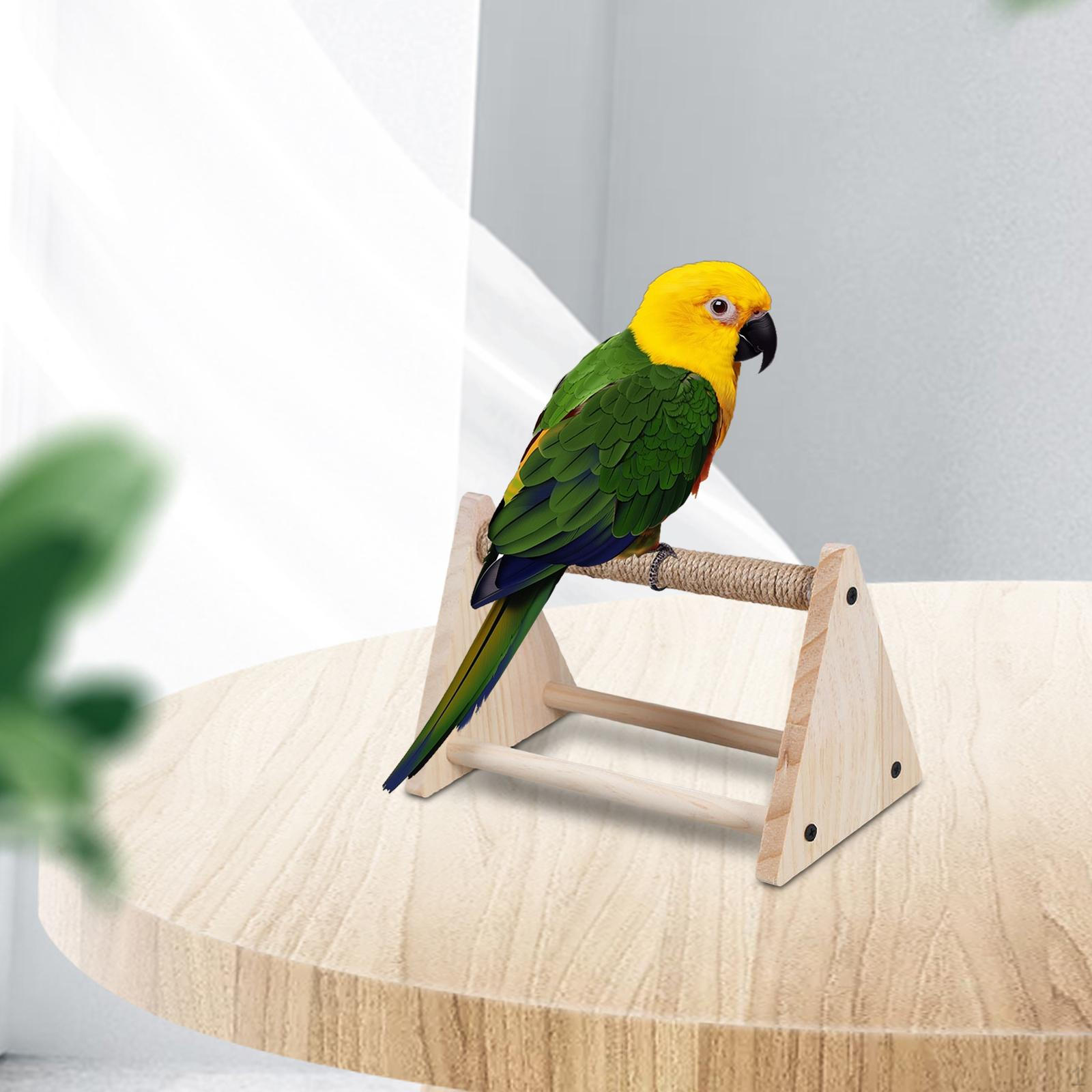 

Parrot Stand for Claw Grinding, Multifunctional Exercise Parakeets And Canaries
