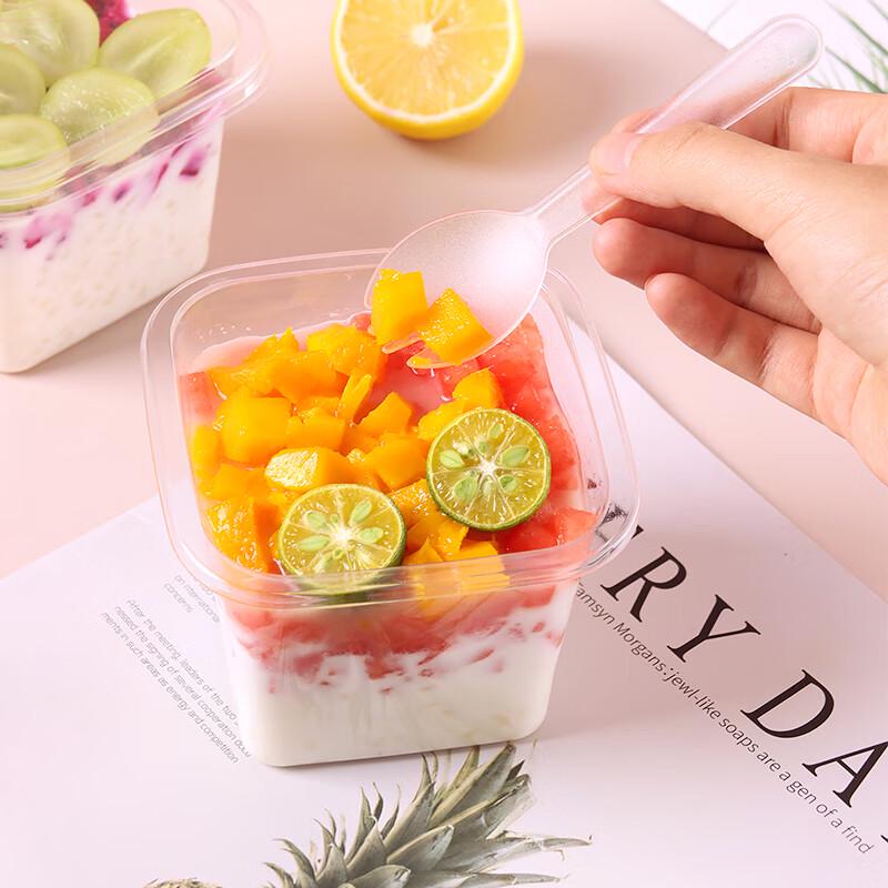 Homeglen Disposable Dessert & Sandwich Boxes
