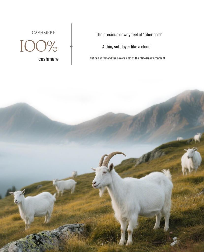 Autumn/Winter Women's Pure Cashmere Semi-High Neck Loose Knitted Sweater Pullover.