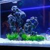Aquariums Landscape Grass Resins Aquariums Decorations Art Crafts Terrarium Habitat Ornaments Rock Craft