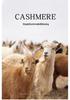 Women's Striped Cashmere Sweater - Autumn/Winter, Half-High Neck, Slim-Fit, Knitted Base Layer