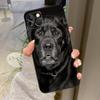 Labrador Puppy Dog Case For iPhone 16 Pro Max 15 14 12 11 13 17 Pro Max Plus 12 13 Mini 16e 17 Air Back Cover