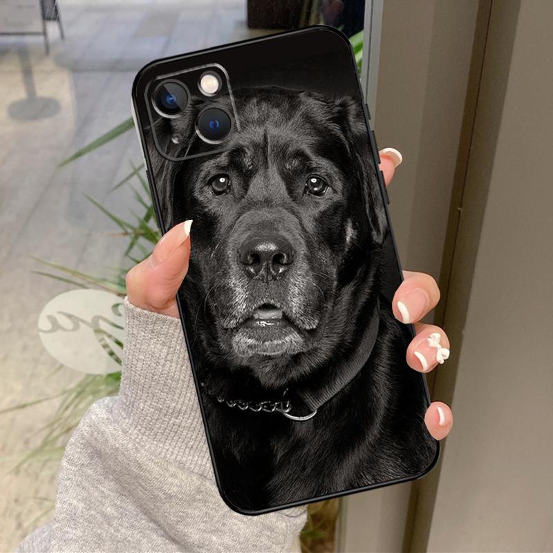 Labrador Puppy Dog Case For iPhone 16 Pro Max 15 14 12 11 13 17 Pro Max Plus 12 13 Mini 16e 17 Air Back Cover