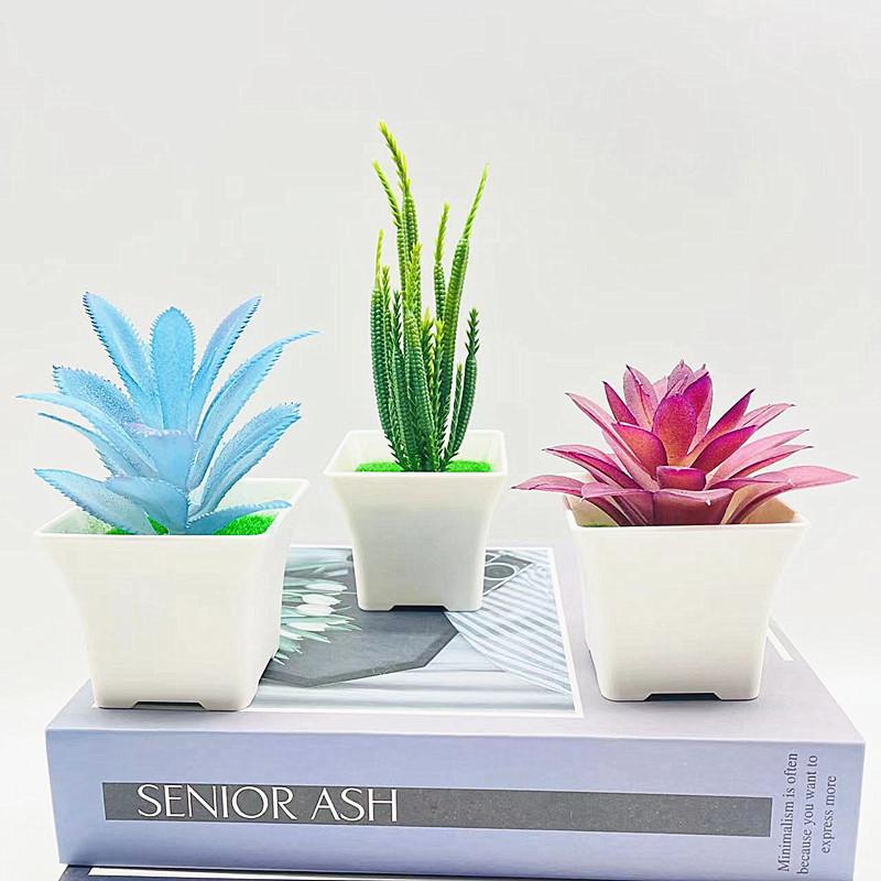 Simulation Crassula Muscosa Echeveria Laui Succulent Plant Bonsai Artificial