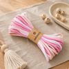 2 Packs Colored Cotton Rope Macrame Cord Braided Twine Gradient Multicolor Effect for Jewelry Making